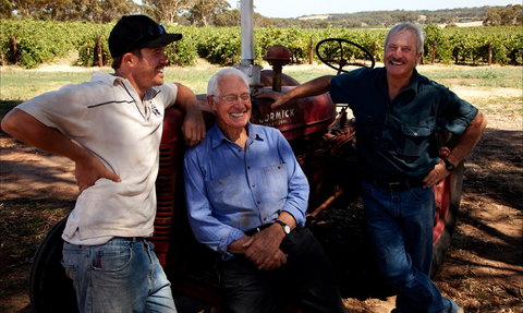 TeAro Estate - Nelson Bay Accommodation.com 1