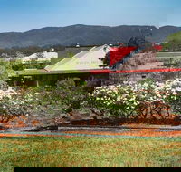 Hanging Tree Wines - Nelson Bay Accommodation.com