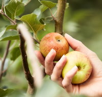 St Ronan's Cider
