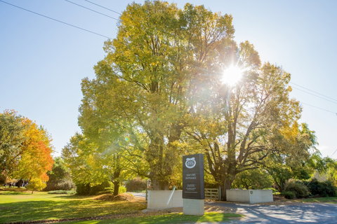 Brown Brothers Milawa Vineyard - Nelson Bay Accommodation.com 0