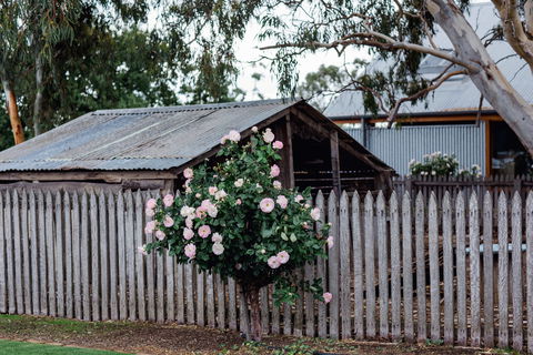 Penny's Hill Winery - Accommodation Nelson Bay 2