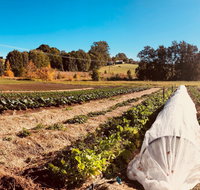 Synchronicity Farm - Nelson Bay Accommodation.com