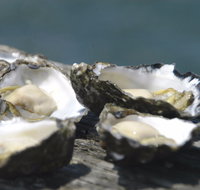 Jim Wild's Oyster Service - Nelson Bay Accommodation.com