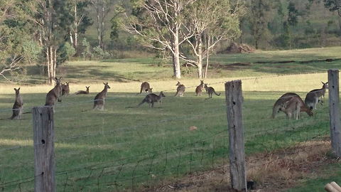 Mistletoe Winery - Nelson Bay Accommodation.com 1
