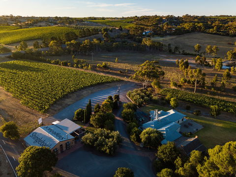 Shingleback Wine - Accommodation Nelson Bay 0