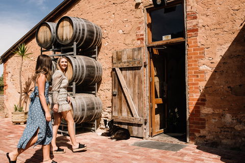 Shingleback Wine - Accommodation Nelson Bay 1