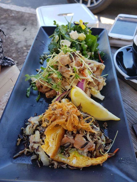 Skal - Nelson Bay Accommodation.com 0