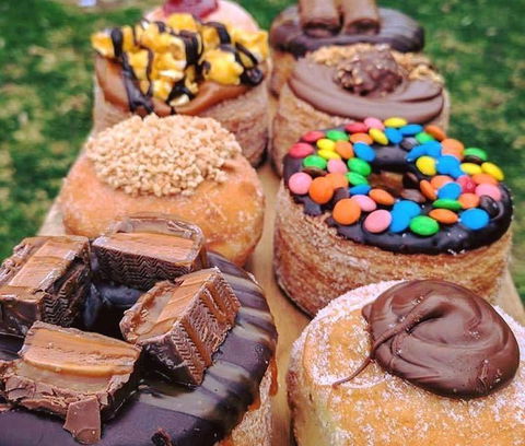 Anchovy - Accommodation Nelson Bay 12