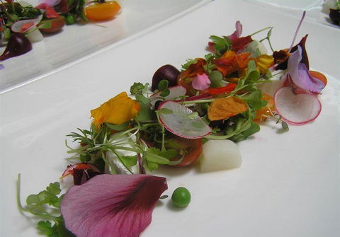 Bluebush Cafe - Accommodation Nelson Bay 13