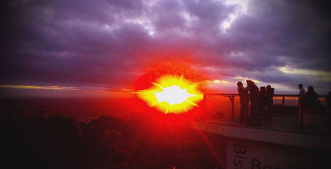 Bluebush Cafe - Accommodation Nelson Bay 28