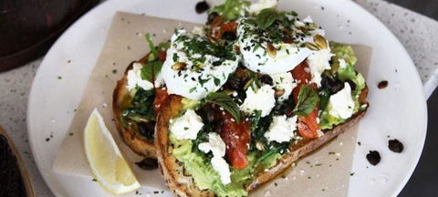 Little Frankie's - Accommodation Nelson Bay 2