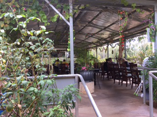 Alice Vietnamese Restaurant - Accommodation Nelson Bay 4