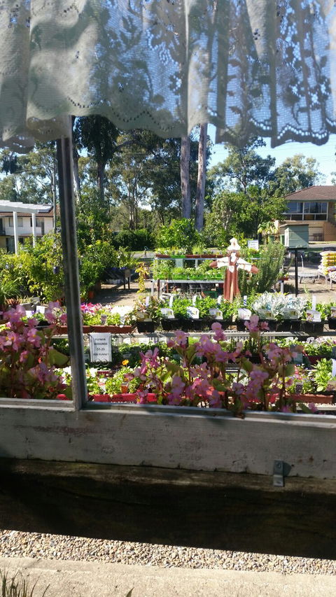 Florrey Bel Coffee Shed - Nelson Bay Accommodation.com 5