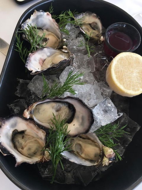 Shuck On Tedder - Accommodation Nelson Bay 2