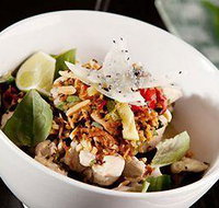 Wild Ginger - Nelson Bay Accommodation.com