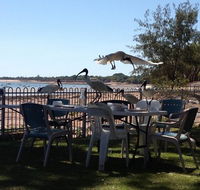 Darwin Ski Club - Little Miss Chef - Nelson Bay Accommodation.com