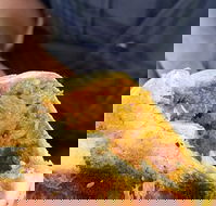 Brighton's Best Bakehouse - Accommodation Nelson Bay