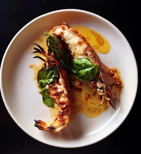 Claypots Evening Star - Nelson Bay Accommodation.com 3