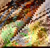 Paste Thai - Accommodation Nelson Bay