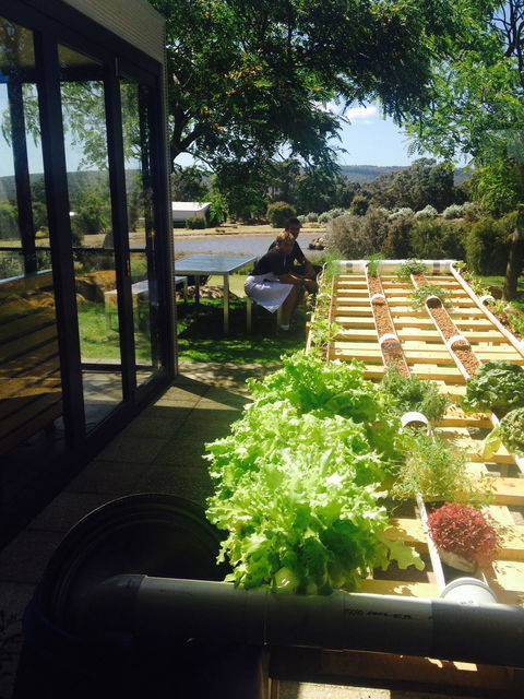 Petra Olive Oil Shed Door Tasting Room & Farm Shop - Nelson Bay Accommodation.com 1
