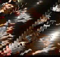 Murasaki Teppanyaki Broadbeach - Accommodation Nelson Bay