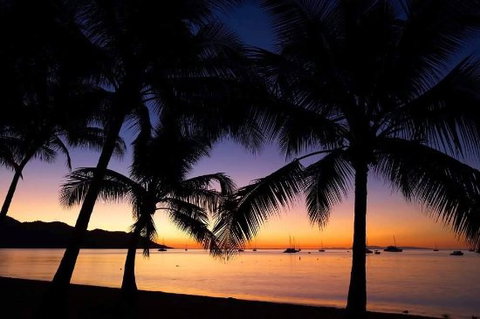 Noodies On The Beach - Accommodation Nelson Bay 0