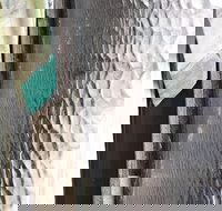 Hotel Tully - Accommodation Nelson Bay