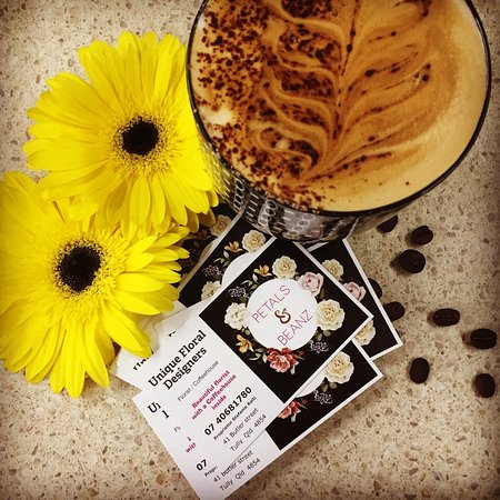 Bedarra Island QLD Accommodation Nelson Bay