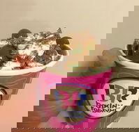 Baskin Robbins Toowoomba - Nelson Bay Accommodation.com