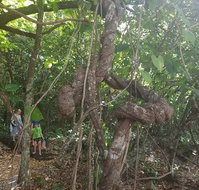 Foxy's Bar - Accommodation Nelson Bay