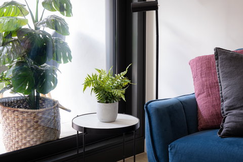 Urban Rest-Home Richmond - Accommodation Nelson Bay 13