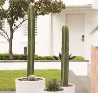 Adina Apartment Hotel Chippendale - Accommodation Nelson Bay