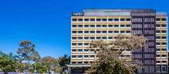 Mantra MacArthur Hotel - Accommodation Nelson Bay 0