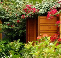Pink Flamingo - Accommodation Nelson Bay