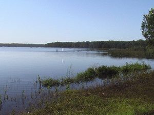 Cabarita Lake Apartments - Accommodation Nelson Bay 2