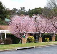 White Lanterns Motel - Accommodation Nelson Bay