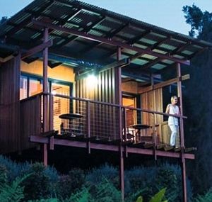 O'Reilly's Rainforest Guesthouse - Accommodation Nelson Bay 1