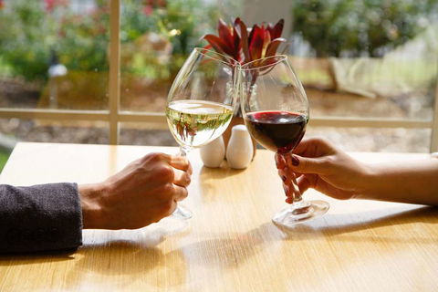 Best Western Plus Hovell Tree Inn - Accommodation Nelson Bay 9