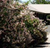 Wine Village Motor Inn - Accommodation Nelson Bay