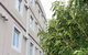 Ibis Newcastle - thumb 1