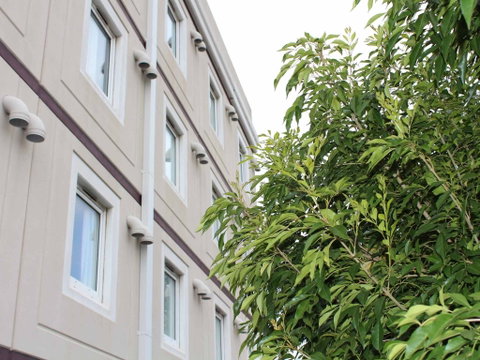 Ibis Newcastle - Accommodation Nelson Bay 1