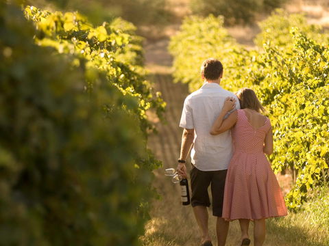 Novotel Barossa Valley Resort - Accommodation Nelson Bay 1