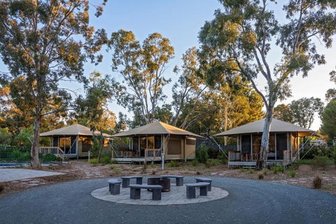 Discovery Parks Barossa Valley - Accommodation Nelson Bay 0