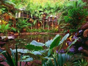 Daintree QLD Accommodation Nelson Bay