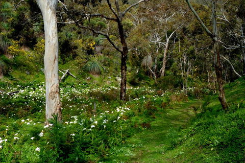 Lure Bed And Breakfast - Accommodation Nelson Bay 17
