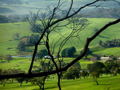 Lure Bed And Breakfast - Accommodation Nelson Bay 21