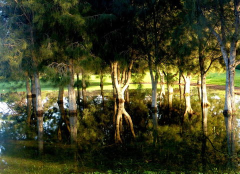 Lure Bed And Breakfast - Accommodation Nelson Bay 18
