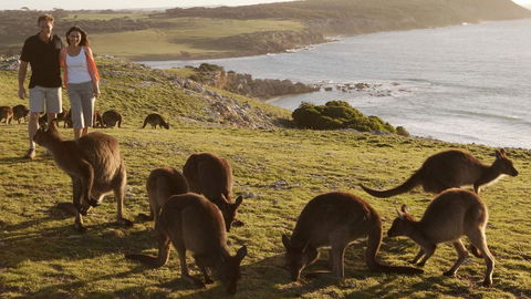 Kangaroo Island Seafront - Nelsons Bay Accommodation 13