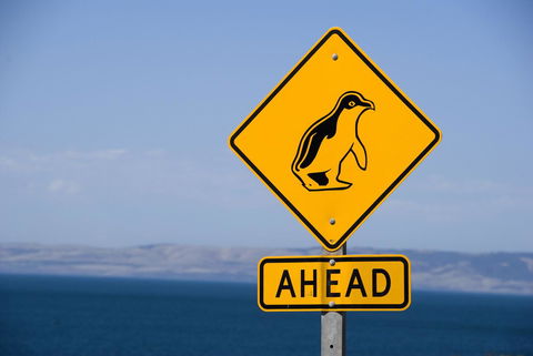 Kangaroo Island Seafront - Nelsons Bay Accommodation 43
