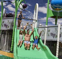 Discovery Parks  Barossa Valley - Accommodation Nelson Bay